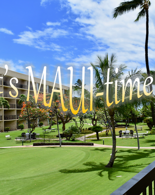 United States Hawaii Kihei vacation rental compare prices direct by owner 24904369