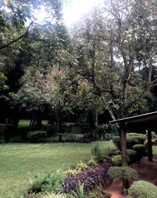 Kenya Nairobi County Nairobi vacation rental compare prices direct by owner 8724733