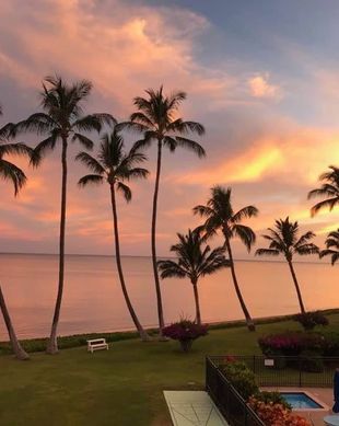 United States Hawaii Kaunakakai vacation rental compare prices direct by owner 48591