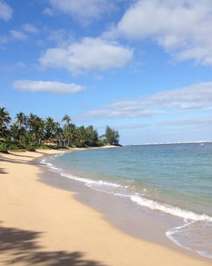 United States Hawaii Waialua vacation rental compare prices direct by owner 50279