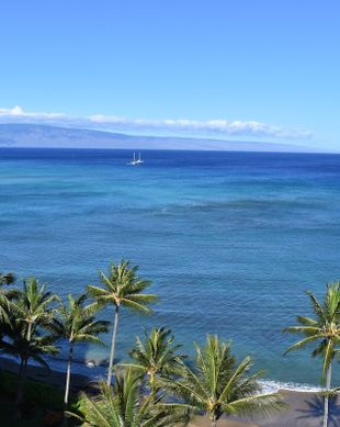 United States Hawaii Lahaina vacation rental compare prices direct by owner 63369