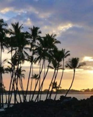 United States Hawaii Kailua-Kona vacation rental compare prices direct by owner 54711