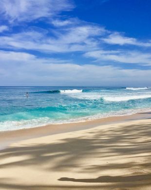 United States Hawaii Haleiwa vacation rental compare prices direct by owner 35455