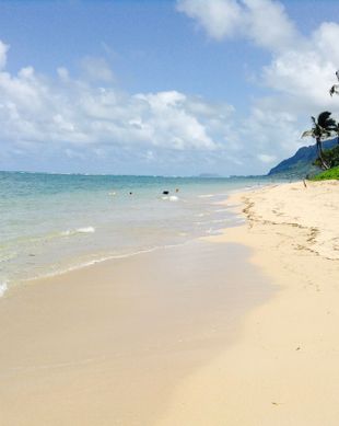 United States Hawaii Hauula vacation rental compare prices direct by owner 348715