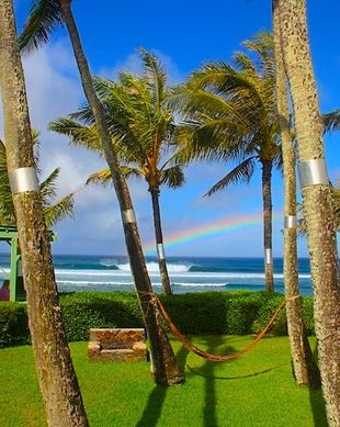United States Hawaii Haleiwa vacation rental compare prices direct by owner 54580