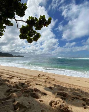 United States Hawaii Haleiwa vacation rental compare prices direct by owner 65469