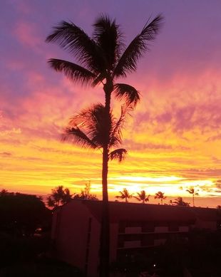 United States Hawaii Kihei vacation rental compare prices direct by owner 12960