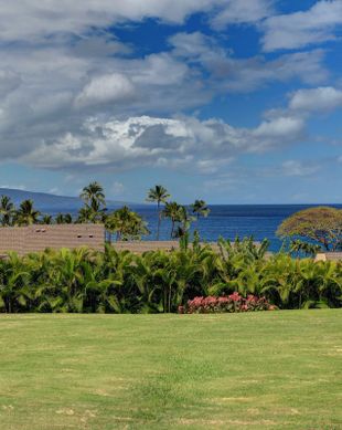 United States Hawaii Wailea vacation rental compare prices direct by owner 55606