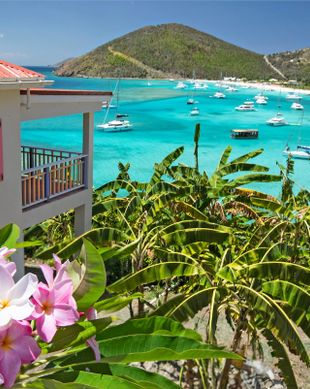 British Virgin Islands Jost Van Dyke Jost Van Dyke, White Bay vacation rental compare prices direct by owner 3799408