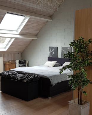 Belgium Vlaanderen Puurs vacation rental compare prices direct by owner 4939450