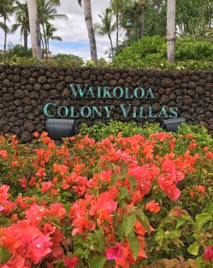 United States Hawaii Waikoloa Village vacation rental compare prices direct by owner 2774210