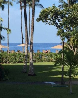 United States Hawaii Kihei vacation rental compare prices direct by owner 31557