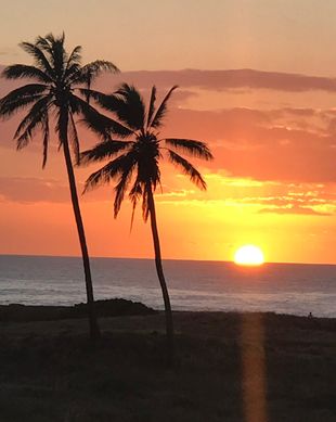 United States Hawaii Maunaloa vacation rental compare prices direct by owner 2626794