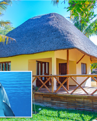 Mozambique Inhambane Vilanculos vacation rental compare prices direct by owner 4260677