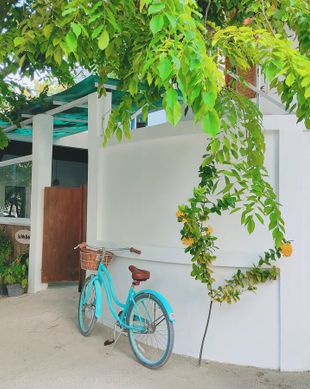 Maldives North Central Province Himmafushi vacation rental compare prices direct by owner 5515818