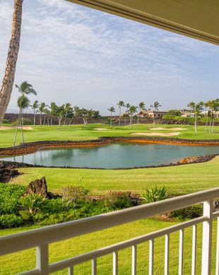 United States Hawaii Waimea vacation rental compare prices direct by owner 58059