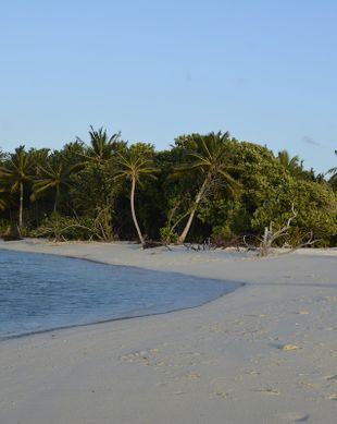 Maldives North Central Province Omadhoo vacation rental compare prices direct by owner 13411003