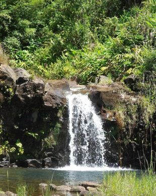 United States Hawaii Hilo vacation rental compare prices direct by owner 12431