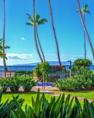 United States Hawaii Wailuku vacation rental compare prices direct by owner 55690