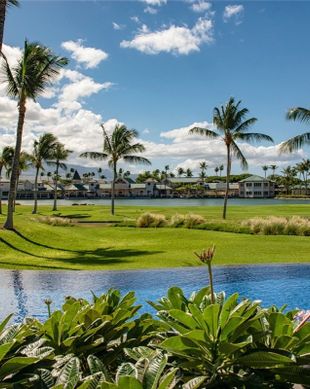 United States Hawaii Waikoloa Village vacation rental compare prices direct by owner 2651491