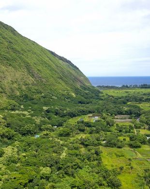 United States Hawaii Waipio Valley vacation rental compare prices direct by owner 65415