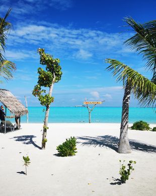 Maldives K.Atoll north of male K.Gaafaru vacation rental compare prices direct by owner 5240418