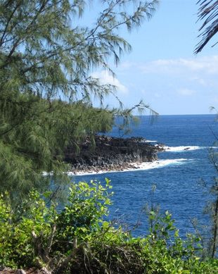 United States Hawaii Pāhoa vacation rental compare prices direct by owner 98878