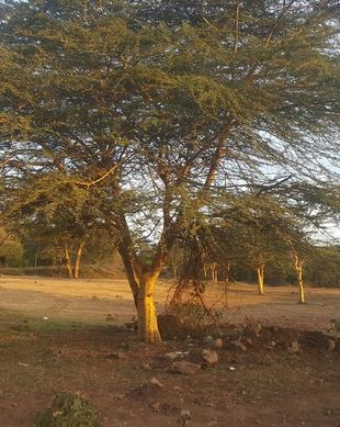 Kenya Narok County Narok vacation rental compare prices direct by owner 3962938