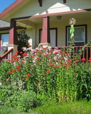 United States Montana Corvallis vacation rental compare prices direct by owner 1063415