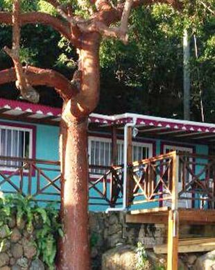 British Virgin Islands  Brewers Bay vacation rental compare prices direct by owner 2892941