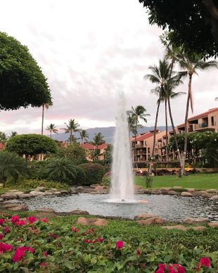 United States Hawaii Kihei vacation rental compare prices direct by owner 30257
