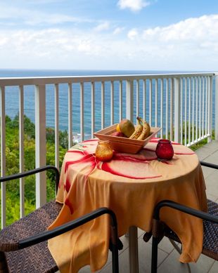 United States Hawaii Princeville vacation rental compare prices direct by owner 54652