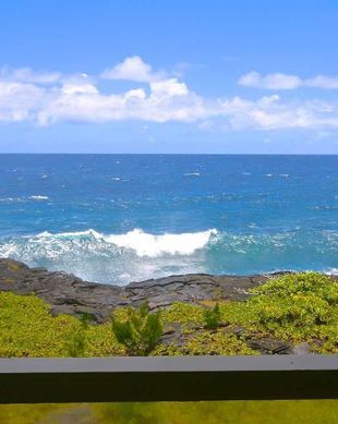 United States Hawaii Hilo vacation rental compare prices direct by owner 55428