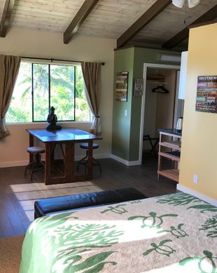 United States Hawaii Hawi vacation rental compare prices direct by owner 53847