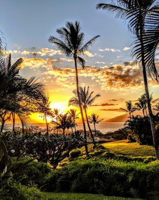 United States Hawaii Kihei vacation rental compare prices direct by owner 170434