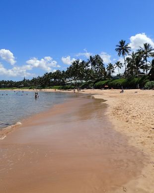 United States Hawaii Kihei vacation rental compare prices direct by owner 60805