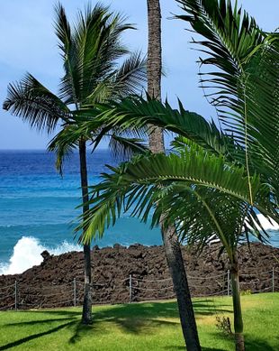 United States Hawaii Kailua-Kona vacation rental compare prices direct by owner 110347