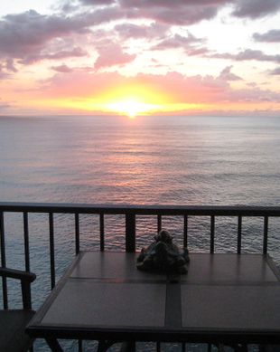 United States Hawaii Waianae vacation rental compare prices direct by owner 49771
