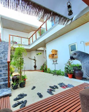Maldives North Central Province Maafushi vacation rental compare prices direct by owner 7817816