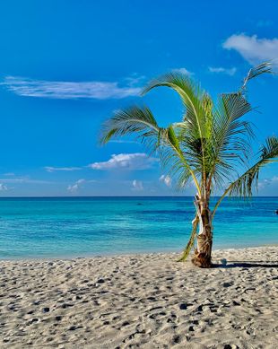 Maldives Maldives Maamigili vacation rental compare prices direct by owner 12236613