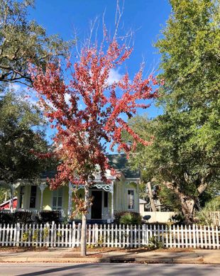 United States Mississippi Biloxi vacation rental compare prices direct by owner 2411948