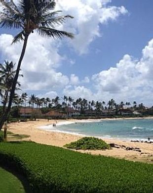 United States Hawaii Koloa vacation rental compare prices direct by owner 56668