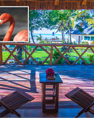 Mozambique Inhambane Vilanculos vacation rental compare prices direct by owner 4279236