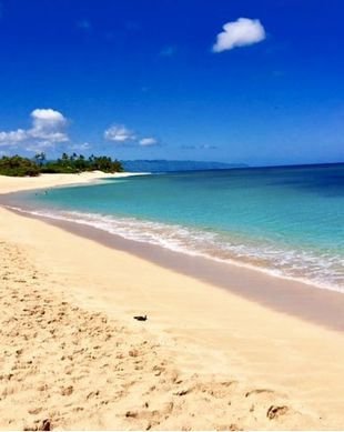 United States Hawaii Haleiwa vacation rental compare prices direct by owner 48534