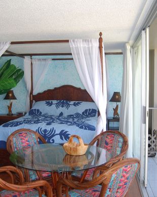 United States Hawaii Honolulu vacation rental compare prices direct by owner 29854