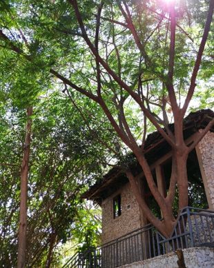 Kenya Taita-Taveta County Voi vacation rental compare prices direct by owner 4742116