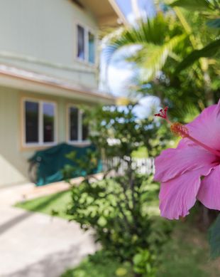 United States Hawaii Kailua vacation rental compare prices direct by owner 45115
