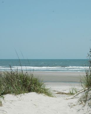 United States South Carolina Isle of Palms vacation rental compare prices direct by owner 157156