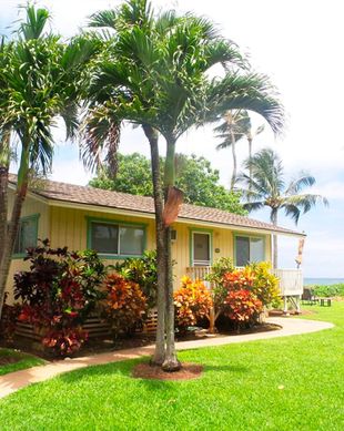 United States Hawaii Paia vacation rental compare prices direct by owner 58123