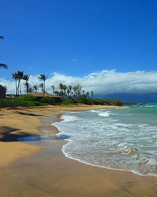 United States Hawaii Paia vacation rental compare prices direct by owner 65328
